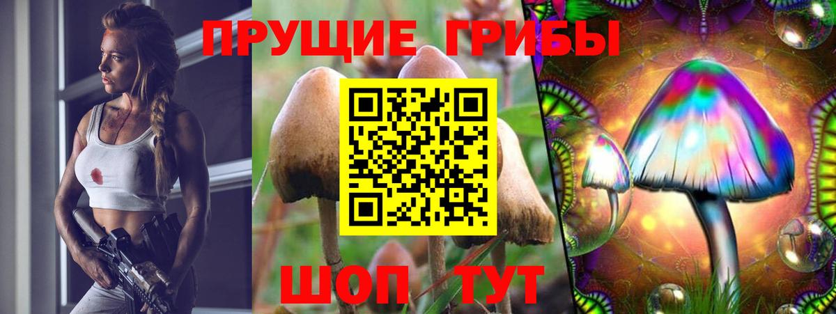 Псилоцибиновые грибы Magic Shrooms  Псилоцибиновые грибы ЛСД  Бузулук  Вход с VPN 